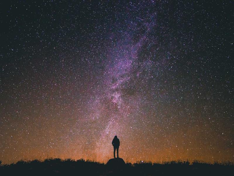 抄底猎手<br>蓝筹 NFT 恐慌指数监测